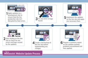 Wooassist Website Update Process