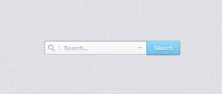 search-option