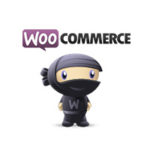 Choosing a Theme for WooCommerce – What to Consider?
