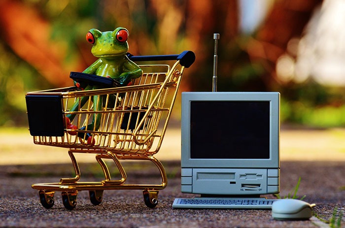 ecommerce-cart-frog-mini-computer